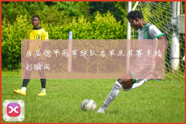 历届德甲冠军球队名单及其赛季精彩瞬间