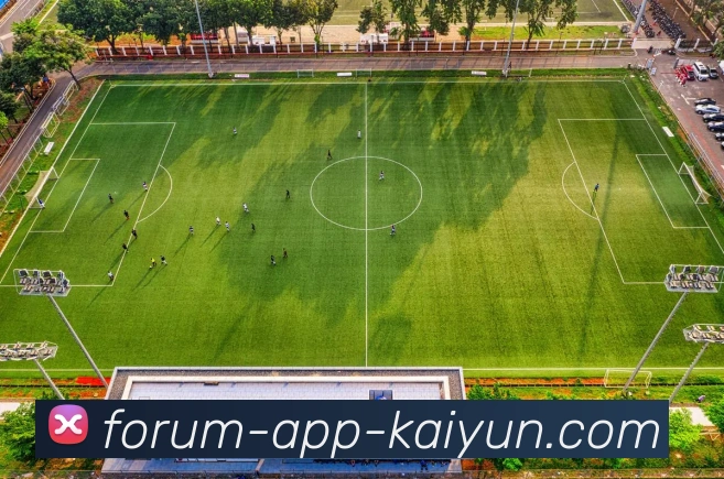 开云app服务体系